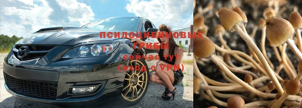 мет Баксан